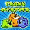 Transmorpher